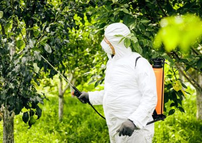 APFMM – Curso Aplicação de Produtos Fitofarmacêuticos com Equipamentos de Pulverização Manual