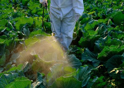 AAPF – Curso Atualização em Aplicação de Produtos Fitofarmacêuticos